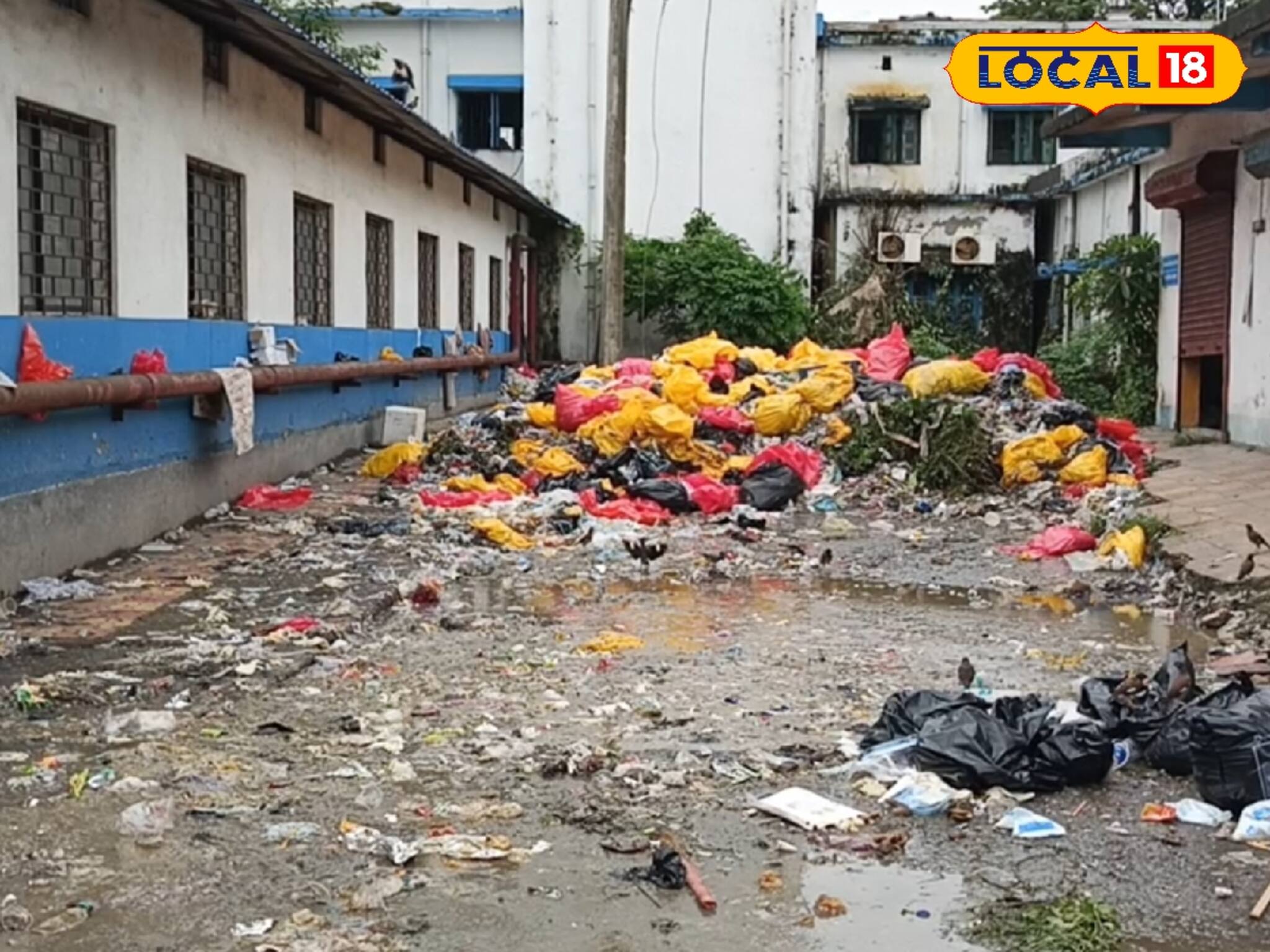 হাসপাতালে আবর্জনার পাহাড়! রোগীকে নিয়ে এসে দূষণের শিকার হচ্ছেন পরিজনরা