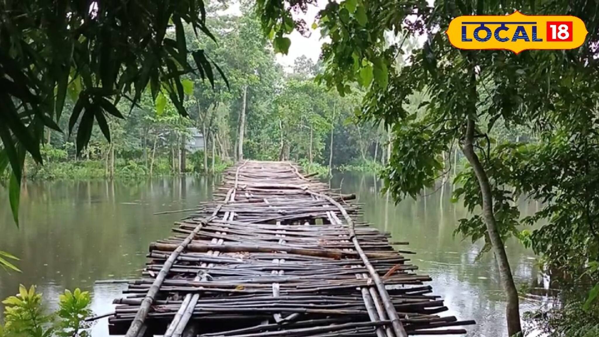 বেহাল বাঁশের সাঁকো দিয়ে ঝুঁকির পারাপার! ক্ষোভে ফুটছে স্থানীয়রা