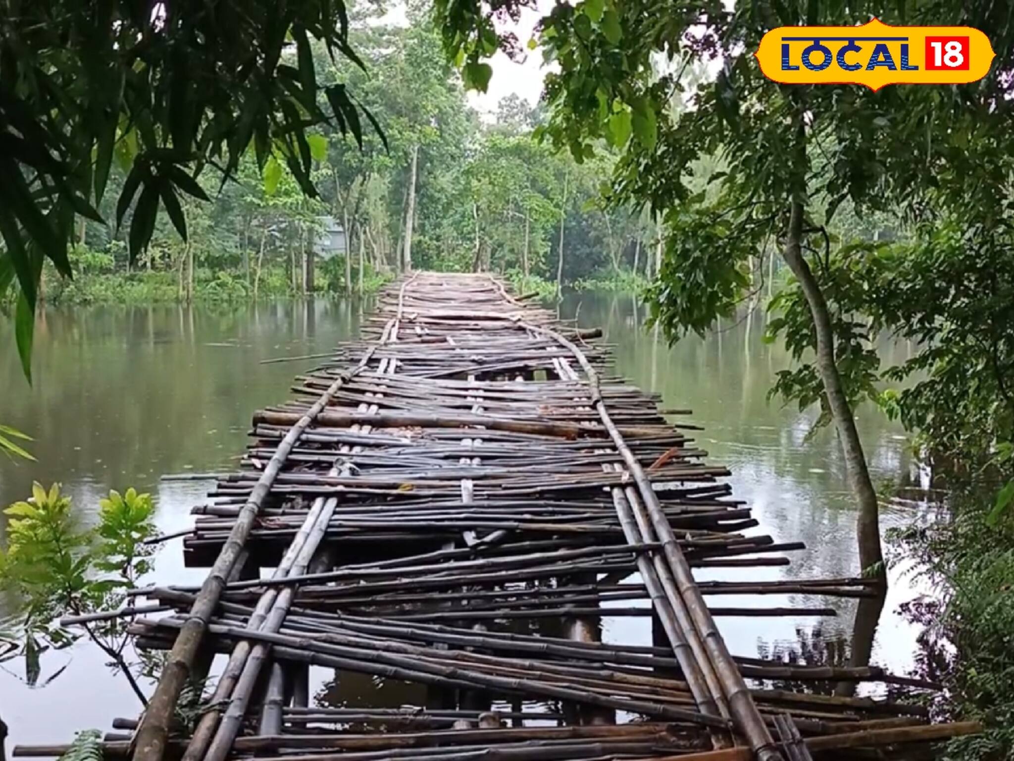 বেহাল বাঁশের সাঁকো দিয়ে ঝুঁকির পারাপার! ক্ষোভে ফুটছে স্থানীয়রা