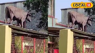 গ্যারেজের