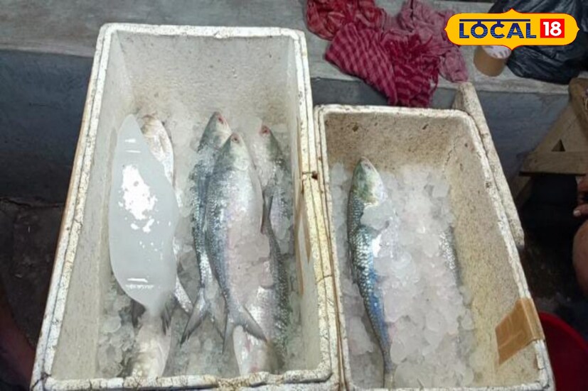 এখান থেকে মাছ বিদেশেও রফতানি হয়। এখানে পাইকারি ও খুচরা দুই পদ্ধতিতেই মাছ বিক্রি হয়। 
