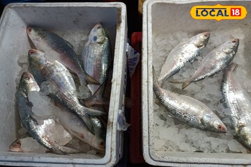 কলকাতার কাছেই এই বাজার মেলে সদ্য ধরে আনা টাটকা ইলিশ! কোথায় জানুন কলকাতার কাছেই এই বাজার মেলে সদ্য ধরে আনা টাটকা ইলিশ! কোথায় জানুন