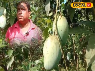 বিরল