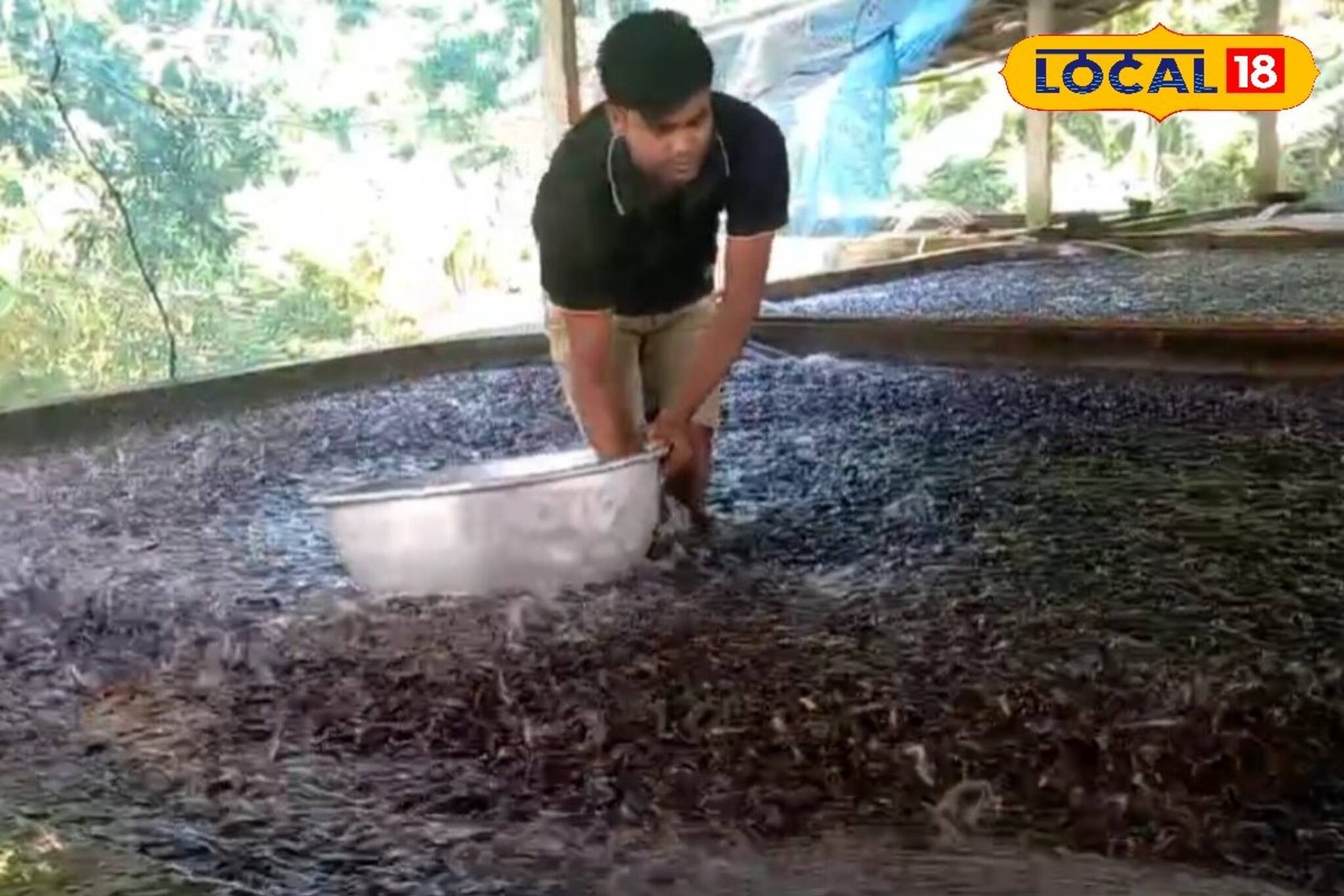 দেশীয় প্রজাতির মাছের উৎপাদন বাড়াতে চাষিদের প্রশিক্ষণ