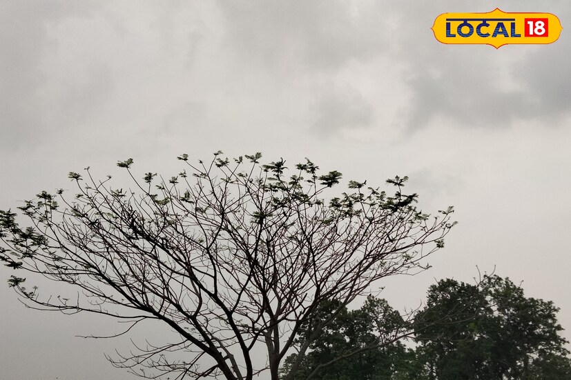 অবশেষে হাওয়া অফিসের পূর্বাভাস স্বস্তি দেবে উত্তরবঙ্গকে। উত্তরবঙ্গে বন্যার আশঙ্কা করছিলেন অনেকে। তবে বৃষ্টি কমলে সেই সম্ভাবনাও কমবে।তবে উত্তরবঙ্গের তিনটে জেলায় বৃষ্টি হবে। 