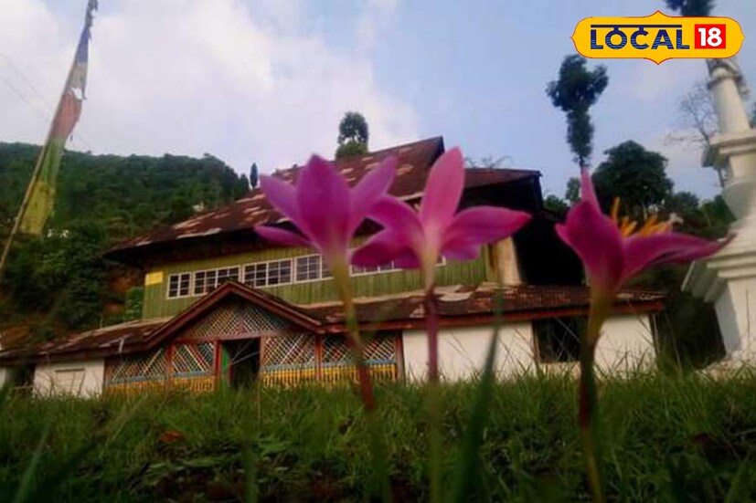 *কীভাবে যাবেন? কিজম থেকে দার্জিলিংয়ের দূরত্ব মাত্র ৩০ কিমি। আপনি যদি চান বিজনবাড়ি থেকে গাড়ি শেয়ার করে এখানে যেতে পারেন। এছাড়া শিলিগুড়ি অথবা দার্জিলিং থেকে আসলে আপনি প্রাইভেট গাড়ি পেয়ে যাবেন।