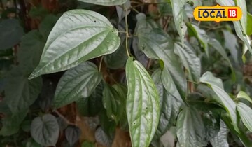 সুস্বাদ