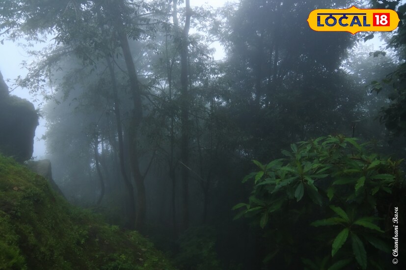 *শনিবার থেকে ফের বৃষ্টি বাড়বে উত্তরবঙ্গে। ওয়াইড স্প্রেইড রেইনের সম্ভাবনা সোমবার পর্যন্ত। আগামীকাল বৃষ্টির পরিমাণ আরও কমবে।