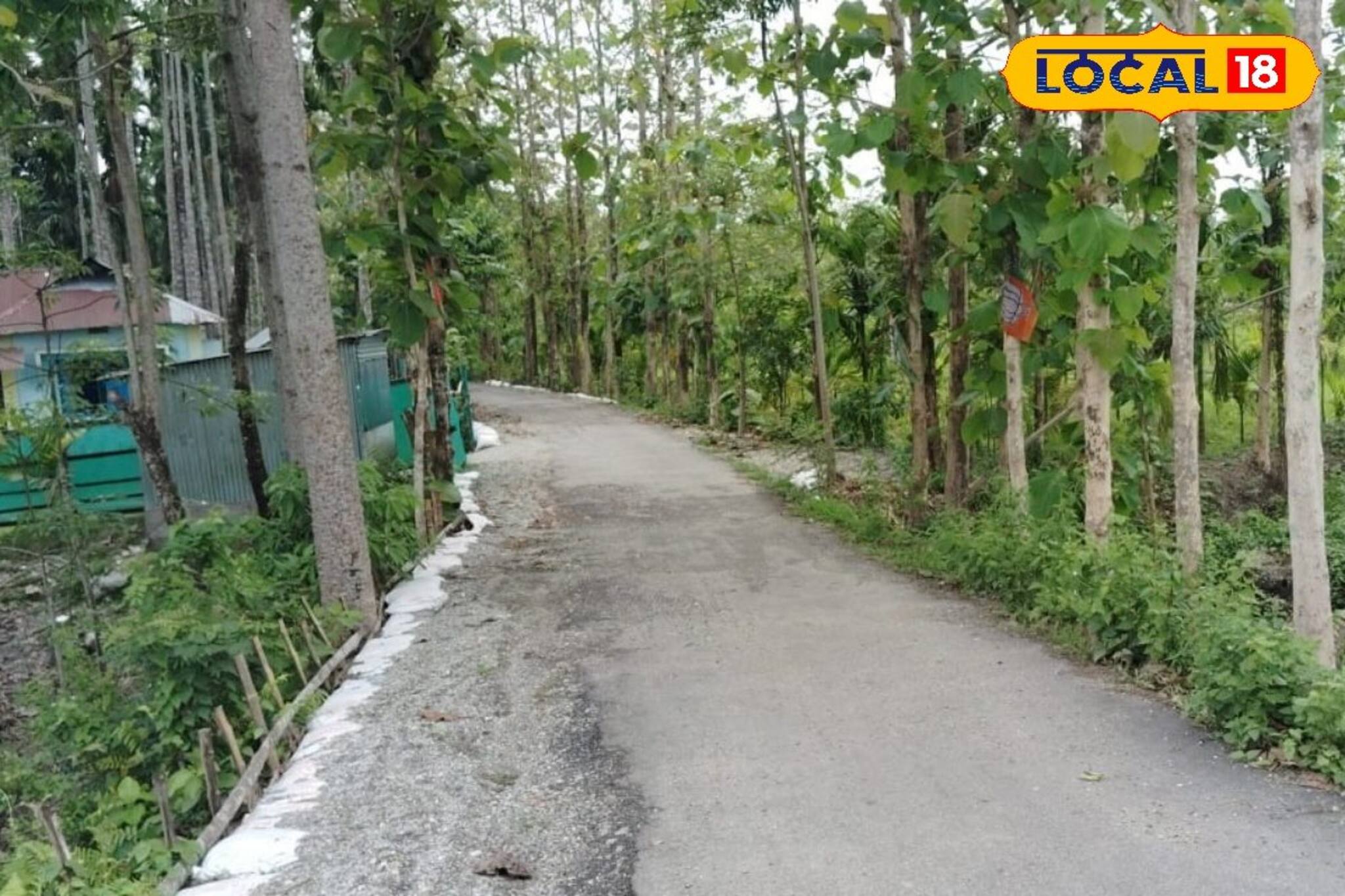 মন ভরা প্রকৃতি, চোখের আরাম, সস্তার ছোট ট্যুরে ক’দিন কাটান! মানসিক শান্তি পাবেন