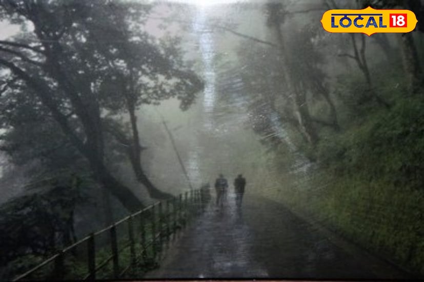 হাওয়া অফিস সূত্রে খবর, আগামী শুক্রবার নাগাদ উত্তর-পশ্চিম বঙ্গোপসাগরে আবার একটি নিম্নচাপ তৈরি হতে পারে। ফলে উত্তরবঙ্গের দুই জেলা, কালিম্পং এবং জলপাইগুড়িতেও এদিন ভারী বৃষ্টি হতে পারে।