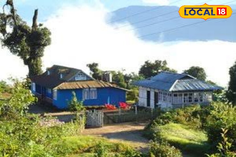 *উত্তরবঙ্গের ছোঁয়া পাওয়ার নামমাত্র কয়েকটি ট্রেন রয়েছে। তাই যদি উত্তরবঙ্গের ডুয়ার্স ঘুরতে আসার ইচ্ছে থাকে তা হলে ট্রেনের টিকিট শীঘ্রই বুকিং না করলে বিপদে পড়তে হবে বইকি! শরৎকালে পেঁজা তুলোর মত মেঘেদের দেশে হারিয়ে যাওয়া মিস না করতে চাইলে সব কিছুর চেকলিস্ট তৈরি করে ফেলুন।