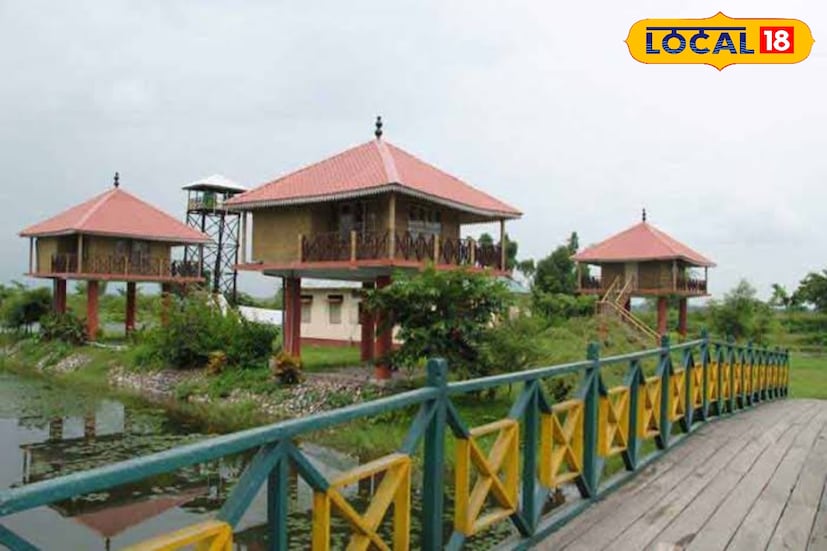*কয়েকটি মন ভাল করা ভিউ পয়েন্টের নাম দেওয়া রইল প্রতিবেদনে। পুজোর সময় কাশফুলের ছড়াছড়ি। সেই ঘন কাশবনের মধ্য দিয়ে বুনো হাতির দলের কীর্তি দেখতে হলে আসতেই হবে রামসাইয়ের মেঘলা টাওয়ারে। এছাড়াও রয়েছে, কালিম্পংয়ের কোলাখাম, মুডুং কোলা-সহ বহু অফবিট গ্রাম। গরুবাথান, পাপড়ক্ষেতি, পাশাবং, ইয়েলবং, শিবখোলা-সহ বহু জায়গা। তাই এই জায়গাগুলোর পার্শ্ববর্তী রিসর্টগুলির সঙ্গে আগেভাগেই যোগাযোগ করে রাখুন।