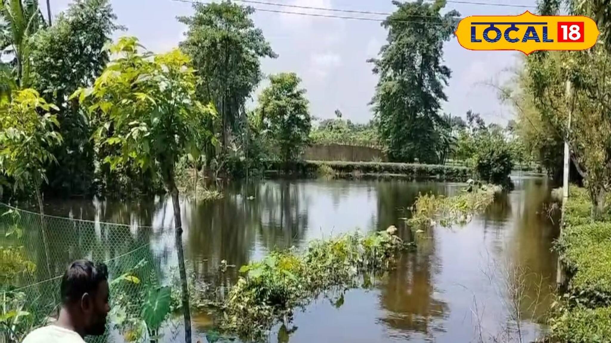চালকুমড়ো, ঢেঁড়স, পান জলের তলায়! বাড়বে বাজারদর, আফসোস চাষির