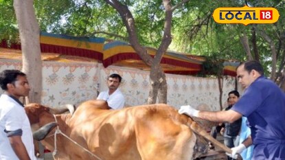 ভেটেনারি ফার্মেসিতে পড়াশোনার সুযোগ