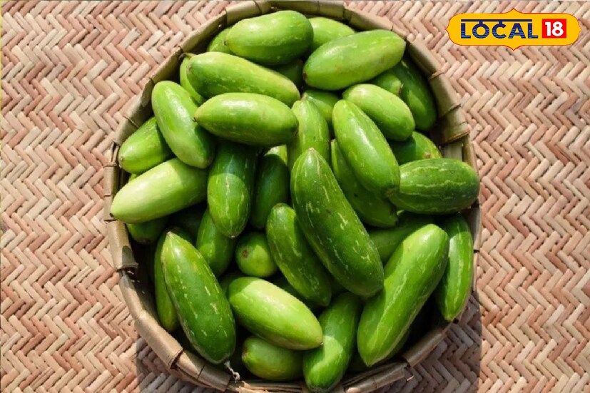 *আয়রন সমৃদ্ধ কুদরি ক্লান্তি দূর করতে সাহায্য করে। আয়রনের ঘাটতি ক্লান্তির সবচেয়ে বড় কারণ। অতএব, ক্লান্তি দূর করতে এবং আয়রনের ঘাটতি মেটাতে খাদ্যতালিকায় কুদরি অবশ্যক। *আয়রন সমৃদ্ধ কুদরি ক্লান্তি দূর করতে সাহায্য করে। আয়রনের ঘাটতি ক্লান্তির সবচেয়ে বড় কারণ। অতএব, ক্লান্তি দূর করতে এবং আয়রনের ঘাটতি মেটাতে খাদ্যতালিকায় কুদরি অবশ্যক।