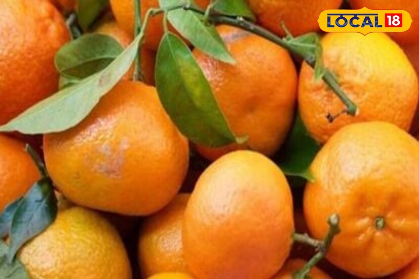 মিষ্টি কমলালেবুর খোসা সাধারণত কিছুটা আলগা এবং নরম হয়৷ হাত দিয়ে টিপলে বসে যায়৷ তবে এই ধরনের লেবু অনেক সময় পচা হওয়ার সম্ভাবনা থাকে৷ 