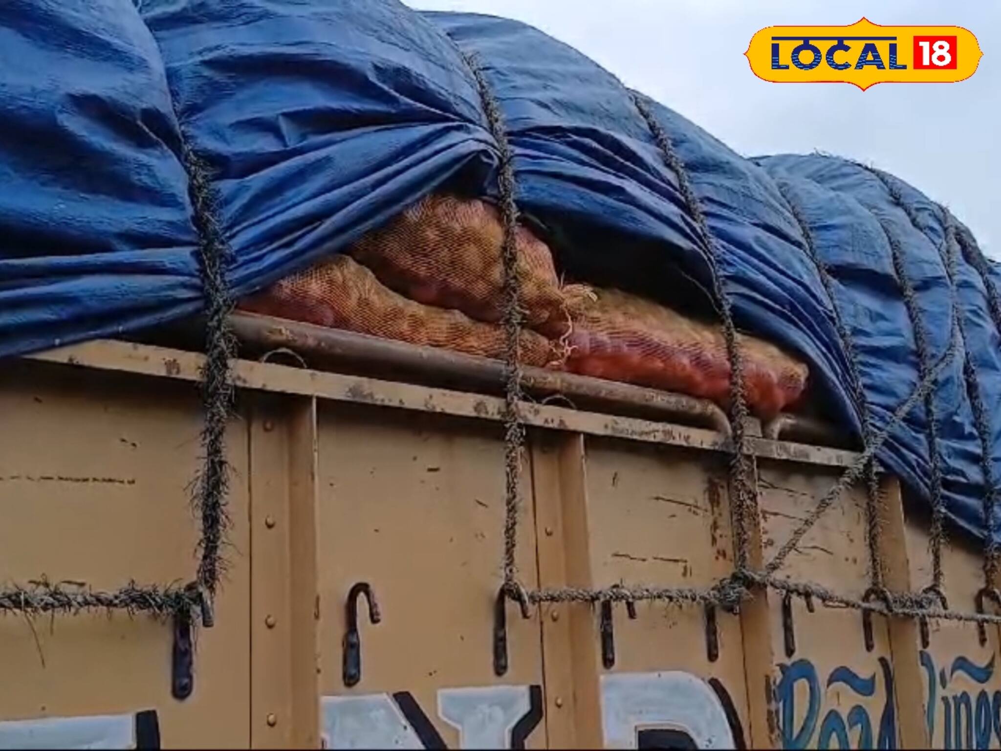 আলুর জন্য নাকা চেকিং! দাম নিয়ন্ত্রণে ভিন রাজ্যে পাঠানোয় নিষেধাজ্ঞা