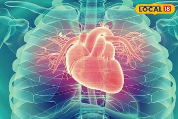 রোজ সামান্য ধনেই করবে কামাল! দূরে থাকবে হার্ট অ্যাটাক, ডাক্তারের পরামর্শ জানুন