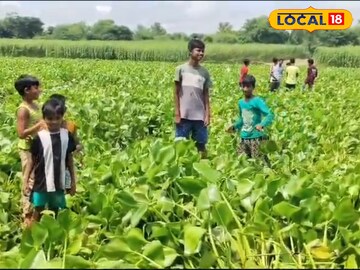 নদীর