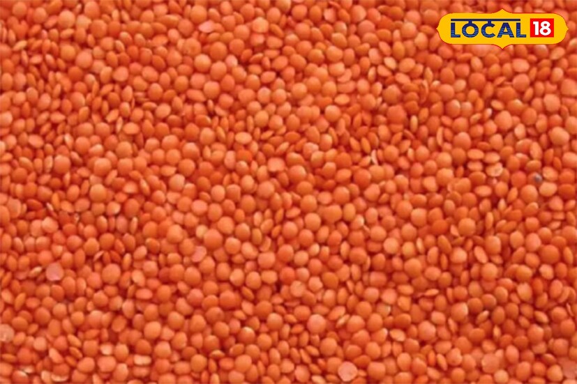  মানুষ কিছু নিজেদেরমতো ধারণা করে নিয়ে খাবার তালিকা থেকে বেশ কিছু জিনিস একেবারে ছেঁটে ফেলে,কিন্তু সেটা কি উচিত, পরামর্শ দিচ্ছেন আমাদের বিশিষ্ট ডাক্তার চন্দন মন্ডল। মসুর ডালের মধ্যে রয়েছে ভাল পরিমাণে প্রোটিন। তাই কোনও মানুষ চাইলে প্রোটিনের চাহিদা মেটানোর স্বার্থে এই ডাল খেতে পারেন। এছাড়া এই ডালে থাকে পর্যাপ্ত কার্বোহাইড্রেট, আয়রন, ভিটামিন সি, বি৬, বি২, ফোলিক অ্যাসিড, ক্যালসিয়াম, জিঙ্ক, ম্যাগনেশিয়াম ইত্যাদি।