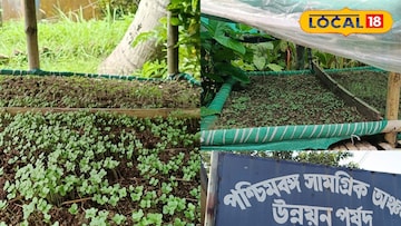 হ্যাঙ্গিং