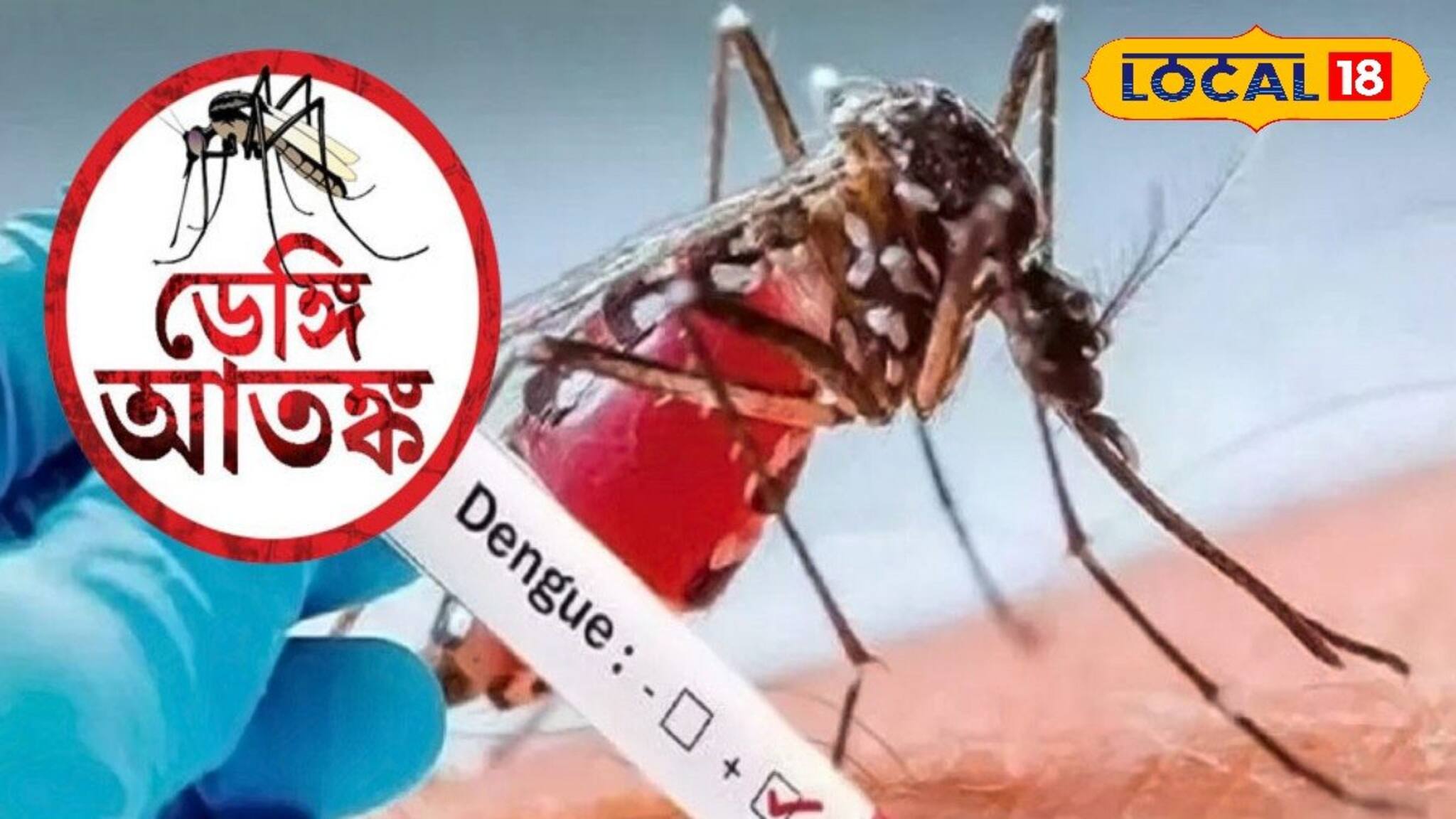 হু হু করে ছড়াচ্ছে ডেঙ্গি! ঘরে রাখুন এই গাছ ও এক চিলতে কর্পূর-কমবে মশার উ‍ৎপাত