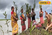 সুন্দরবনকে বাঁচাতে এগিয়ে এলেন স্বনির্ভর গোষ্ঠীর মহিলারা