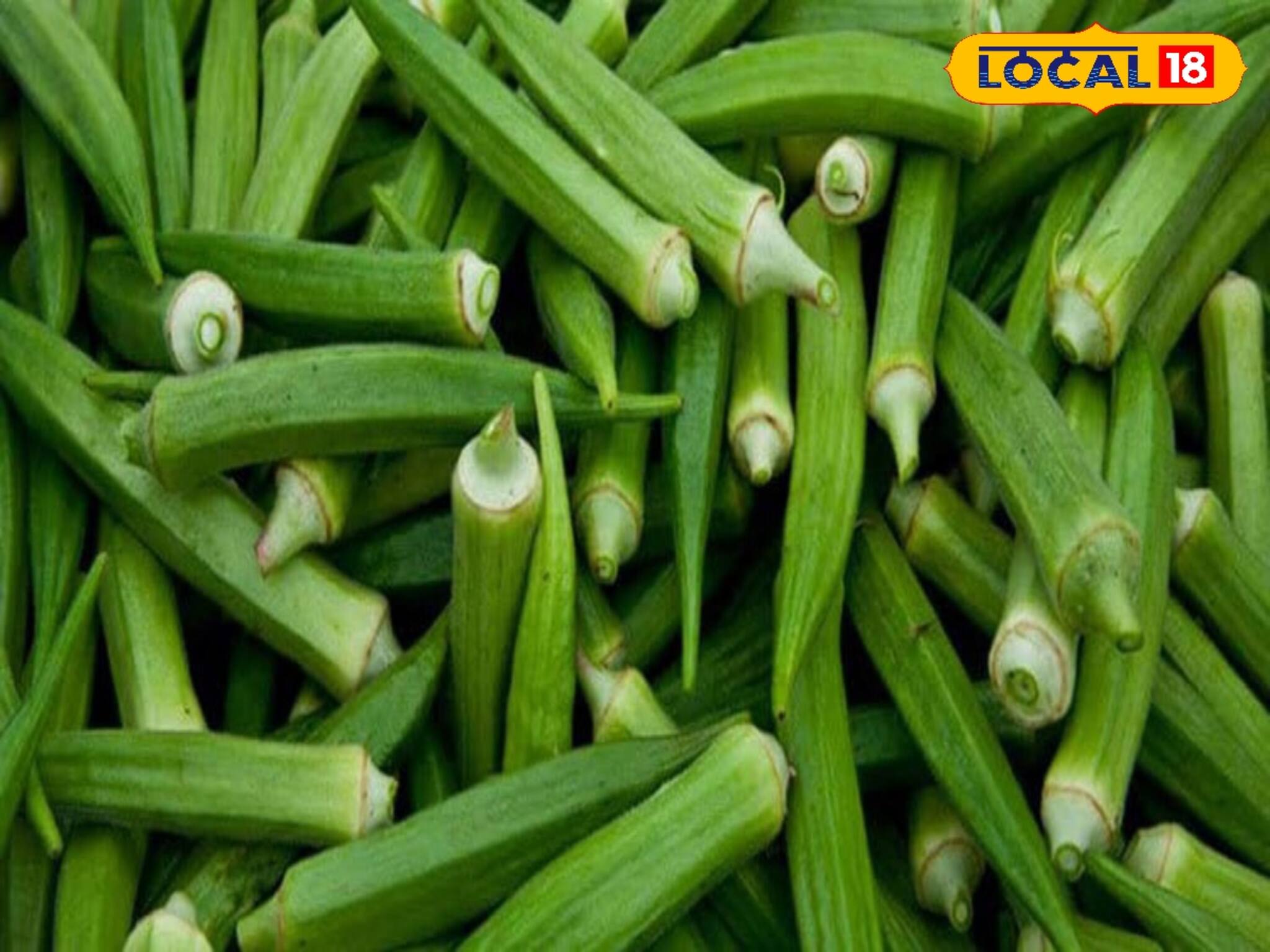 আপনি খুব বেশি ঢেঁড়স খেতে পছন্দ করেন? তবে কারা খাবেন না এই সবজি জেনে নিন