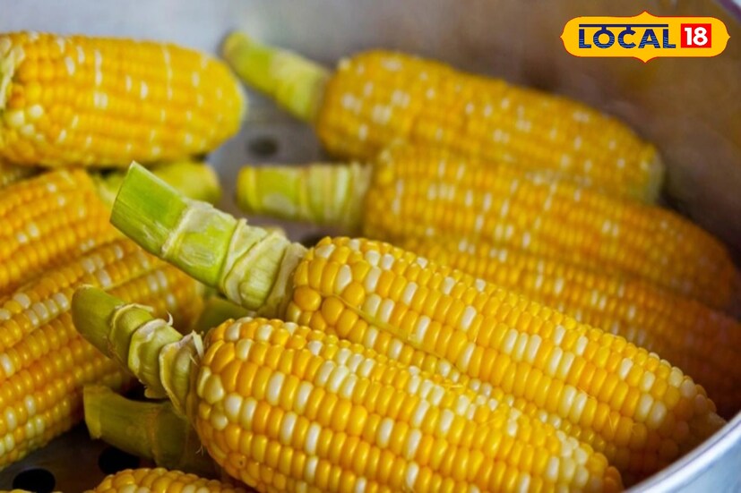 ভুট্টার কিছু পার্শ্ব প্রতিক্রিয়াও কিন্তু রয়েছে। যেমন ‘ইনজেস্টিবল প্রোটিন’ থাকায় ভুট্টা থেকে অনেক সময় অ্যালার্জি হতে পারে। বেশি পরিমাণে খেলে হজমের সমস্যা দেখা দেয়। কাঁচা ভুট্টা খেলে ডায়রিয়া হতে পারে। অতিরিক্ত ভুট্টা ওজন বৃদ্ধির অন্যতম কারণ।