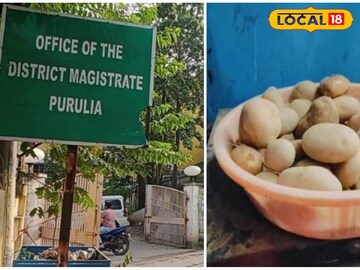 আলু বেচবে স্বনির্ভর গোষ্ঠী