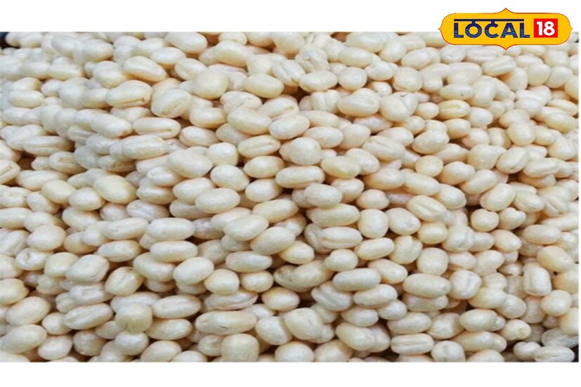 ডায়াবেটিস রোগীদের জন্য বিউলির ডাল খুবই উপকারী। এতে প্রচুর পরিমাণে ফাইবার থাকে। যা রক্তে কার্বোহাইড্রেটের পরিমাণ হ্রাস করে। সুস্মিতা গোস্বামী ডায়াবেটিস রোগীদের জন্য বিউলির ডাল খুবই উপকারী। এতে প্রচুর পরিমাণে ফাইবার থাকে। যা রক্তে কার্বোহাইড্রেটের পরিমাণ হ্রাস করে। সুস্মিতা গোস্বামী