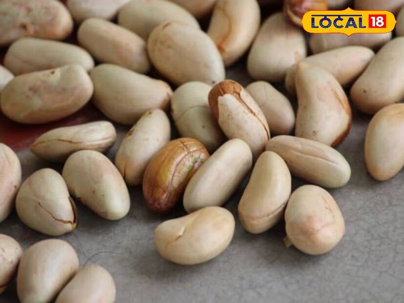 *বাদামের থেকেও বেশি পুষ্টিগুণ পাবেন কাঁঠালের বীজে। গরমে আম-জামের পাশাপাশি কাঁঠাল অন্যতম। যদিও এই ফল অনেকেরেই পছন্দ নয়। কিন্তু এই কাঁঠালের বীজে রয়েছে হাজারো পুষ্টিগুণ। প্রতিবেদনঃ পিয়া গুপ্তা। ফাইল ছবি। Disclaimer: আমাদের এই প্রতিবেদনটি শুধুমাত্র তথ্য প্রদানের জন্য। সামাজিক মাধ্যম ও নানা ওয়েবসাইটের পাওয়া তথ্য থেকে এই জ্ঞান নেওয়া হয়েছে। তবে এই সংক্রান্ত আরও তথ্যের জন্য এবং চূড়ান্ত সিদ্ধান্ত গ্রহণের আগে অবশ্যই একজন বিশেষজ্ঞের বা আপনার ব্যক্তিগত চিকিৎসকের পরামর্শ নিন। *বাদামের থেকেও বেশি পুষ্টিগুণ পাবেন কাঁঠালের বীজে। গরমে আম-জামের পাশাপাশি কাঁঠাল অন্যতম। যদিও এই ফল অনেকেরেই পছন্দ নয়। কিন্তু এই কাঁঠালের বীজে রয়েছে হাজারো পুষ্টিগুণ। প্রতিবেদনঃ পিয়া গুপ্তা। ফাইল ছবি। Disclaimer: আমাদের এই প্রতিবেদনটি শুধুমাত্র তথ্য প্রদানের জন্য। সামাজিক মাধ্যম ও নানা ওয়েবসাইটের পাওয়া তথ্য থেকে এই জ্ঞান নেওয়া হয়েছে। তবে এই সংক্রান্ত আরও তথ্যের জন্য এবং চূড়ান্ত সিদ্ধান্ত গ্রহণের আগে অবশ্যই একজন বিশেষজ্ঞের বা আপনার ব্যক্তিগত চিকিৎসকের পরামর্শ নিন।