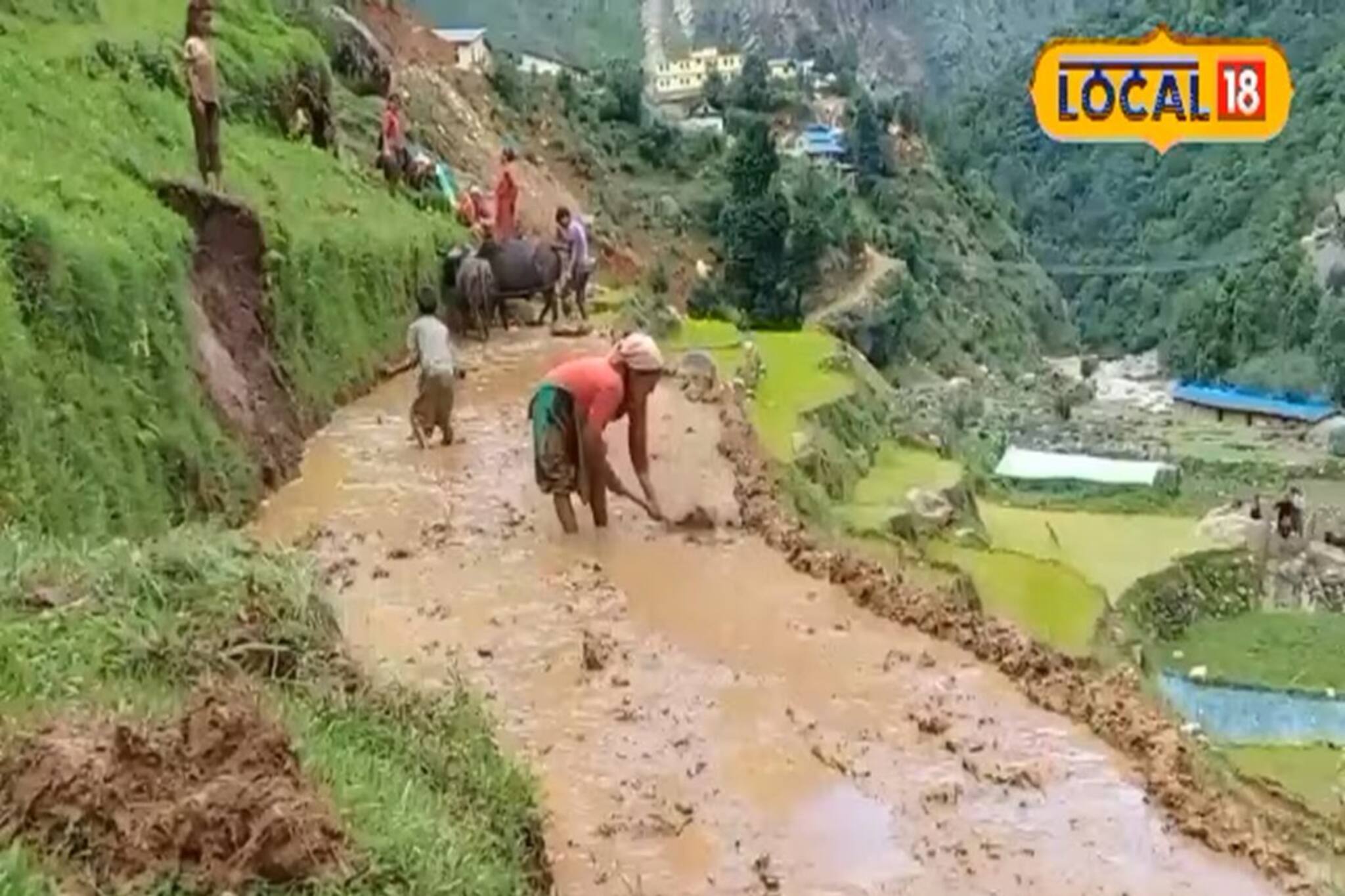 বর্ষার বৃষ্টিই ভরসা পাহাড়ের মানুষের, এখানে কীভাবে চাষাবাদ হয় জানেন?