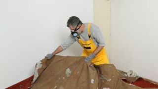 কম দামে পুরনো বাড়ি কেনেন দম্পতি, কার্পেট সরাতেই ‘গুপ্তধন’! (Representative Image-Canva) কম দামে পুরনো বাড়ি কেনেন দম্পতি, কার্পেট সরাতেই ‘গুপ্তধন’! (Representative Image-Canva)