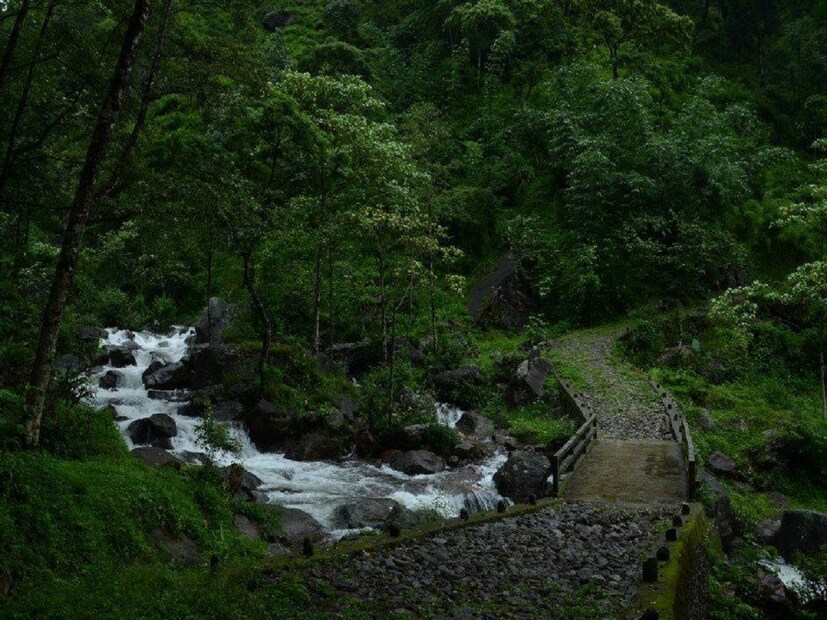 বেড়ানোর তালিকায় বাঙালির বরাবরের জন্য হট ফেভারিট উত্তরবঙ্গ। এই বর্ষায় ঘুরে আসুন নেপাল সীমান্তের মানেভঞ্জন থেকে। এখানেই রয়েছে রঙ্গিত মাজুয়া গ্রাম। পাহাড়ি গ্রামের নৈঃস্বর্গিক সৌন্দর্য্য আপনাকে মোহিত করে দেবে। সবুজে সবুজ দিয়ে সাজানো এই গ্রামের অপরূপ শোভা লেখনিতে বর্ণনা করা বেশ কঠিন। আকাশ পরিষ্কার থাকলে এই গ্রামের সবদিক থেকেই দেখা মিলে সুন্দরী কাঞ্চনজঙ্ঘার।