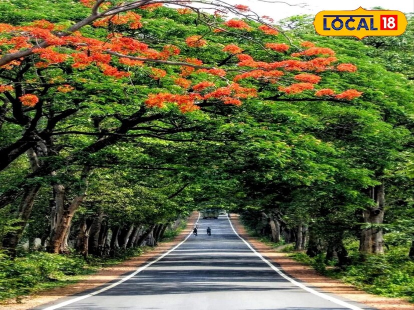 *বাঁকুড়ার রানি মুকুটমণিপুরে ঘুরে দেখার জায়গা রয়েছে অনেক। মুকুটমণিপুরের কংসাবতী ড্যাম একটি অতি বৃহৎ মাটির বাঁধ। এছাড়াও রয়েছে ঘুরে দেখার জন্য মুসাফিরানা ভিউ পয়েন্ট, পরেশনাথ, বাঁধের উপরের মনোরম রাস্তা, লুকোনো ট্রেইল করার জন্য ভাড়া করা সাইকেল এবং করতে পারবেন নৌকা বিহার। সংগৃহীত ছবি। 