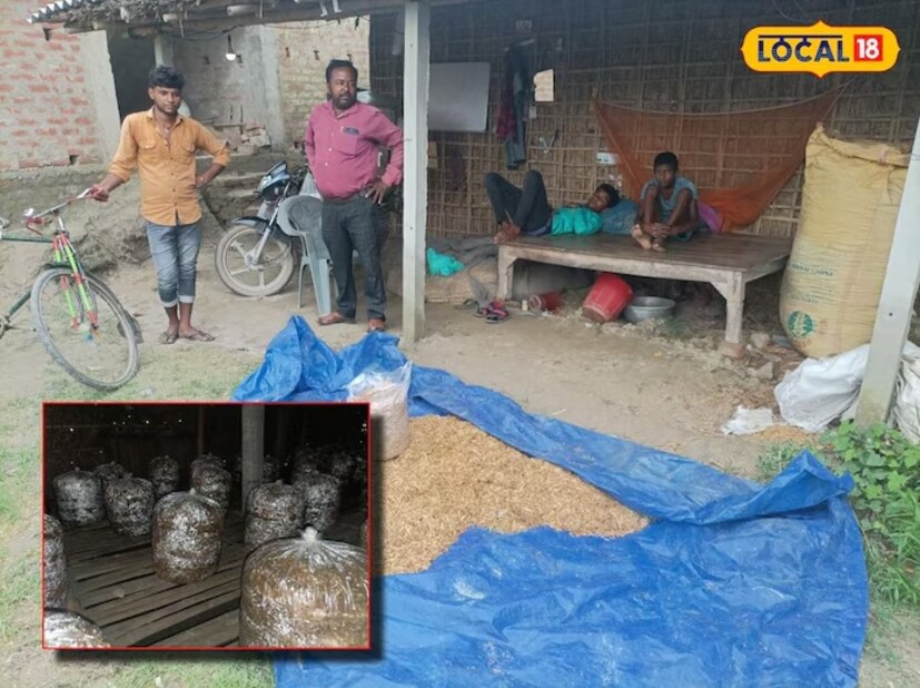 বিনিয়োগ এবং আয়ের বিষয়ে কৃষক রাজকুমার বলেন যে, মাশরুমের একটি ব্যাগ তৈরি করতে লাগে প্রায় ৪০ টাকা। মাশরুম হয়ে গেলে ৪০০ টাকা মুনাফা পাওয়া যাবে। তাই এই বার তিনি নিজের ২০x৫০ মাপের খালি জায়গায় মাশরুম ব্যাগ লাগিয়েছেন। বিভিন্ন প্রজাতির মাশরুমের ২৫০টি ব্যাগ লাগিয়েছেন তিনি। যার ফলে সমস্ত খরচ মিটিয়ে তিনি ১ লক্ষ টাকা পর্যন্ত মুনাফা অর্জন করতে সক্ষম হবেন।