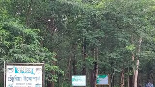 তালডাংরার বনসুরক্ষা কমিটির সদস্যরা সারা বছর বনসুরক্ষার ব‍্যবস্থা করে থাকে