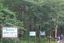 বর্ষায় শাল, মহুল, অর্জুন, জারুলগাছের ডালে পাখির ডাকে মুখরিত বাঁকুড়ার তালডাংরা