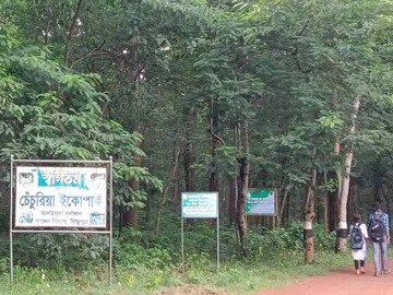 তালডাংরার বনসুরক্ষা কমিটির সদস্যরা সারা বছর বনসুরক্ষার ব‍্যবস্থা করে থাকে