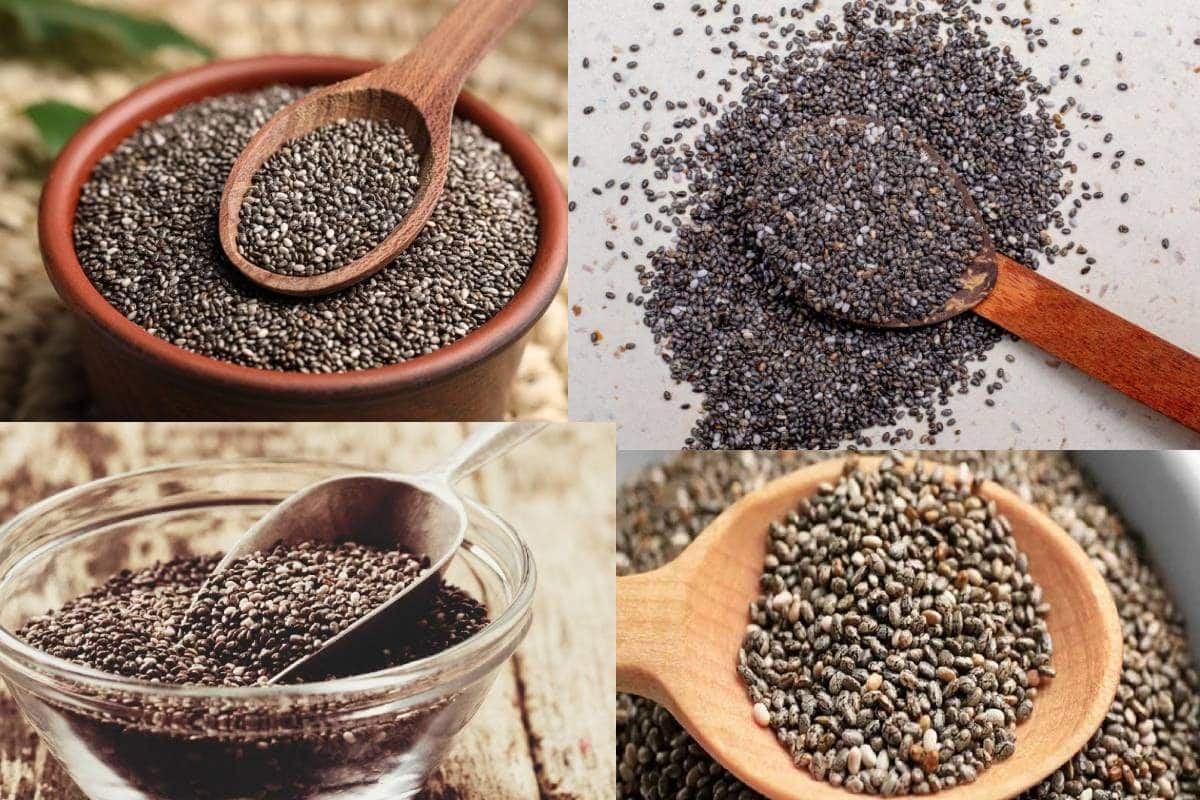 Chia Seeds Side Effects: রোজ ব্রেকফ্রাস্ট-লাঞ্চ-ডিনার সবেই চিয়া সিড খাচ্ছেন! অজান্তেই মারণ রোগ ডাকছেন না তো? জানুন Chia Seeds Side Effects: রোজ ব্রেকফ্রাস্ট-লাঞ্চ-ডিনার সবেই চিয়া সিড খাচ্ছেন! অজান্তেই মারণ রোগ ডাকছেন না তো? জানুন