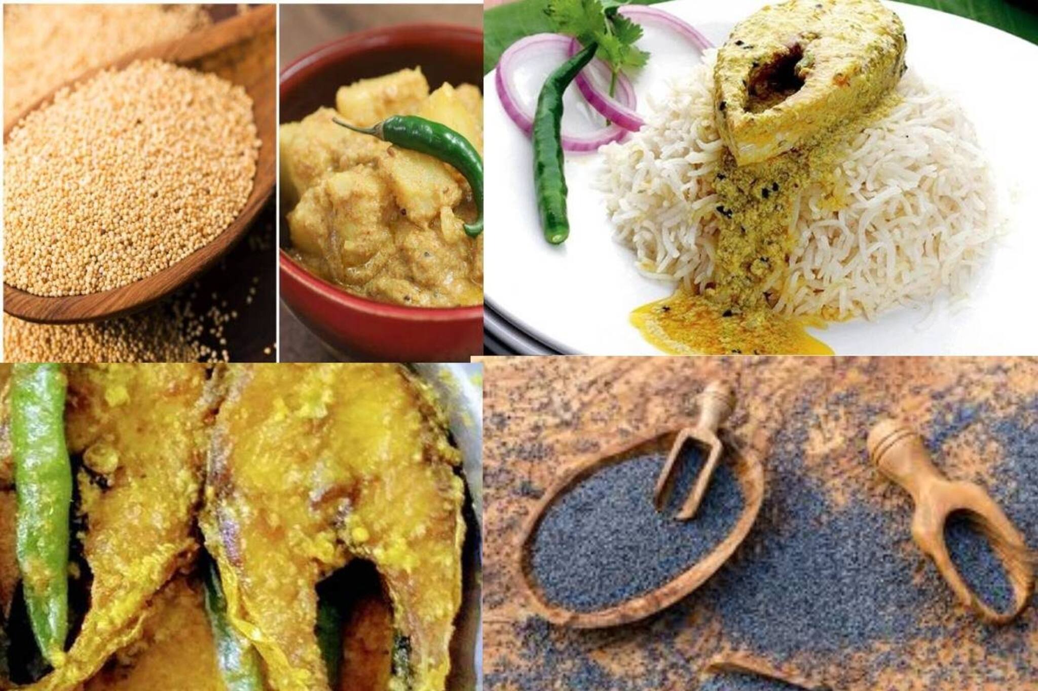 বাঙালদের সরষে না ঘটিদের পোস্ত? কোনটায় কমবে ওজন, গাঁটের ব্যথা? সুস্থ হার্ট? জানুন