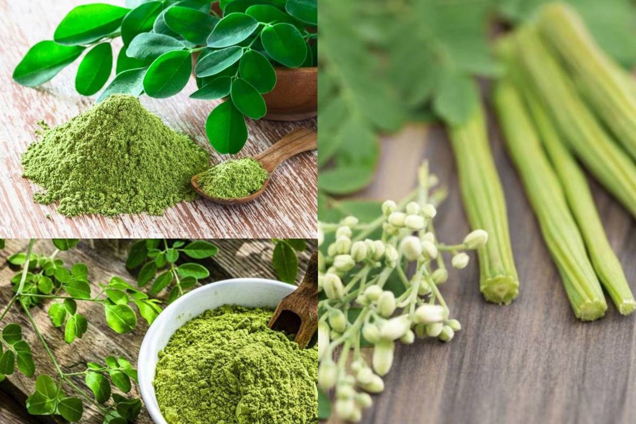 সজনেডাঁটাই রোগা হওয়ার মহামন্ত্র! ম্যাজিকের মতো ওজন কমাতে এভাবে খান এই সবজি