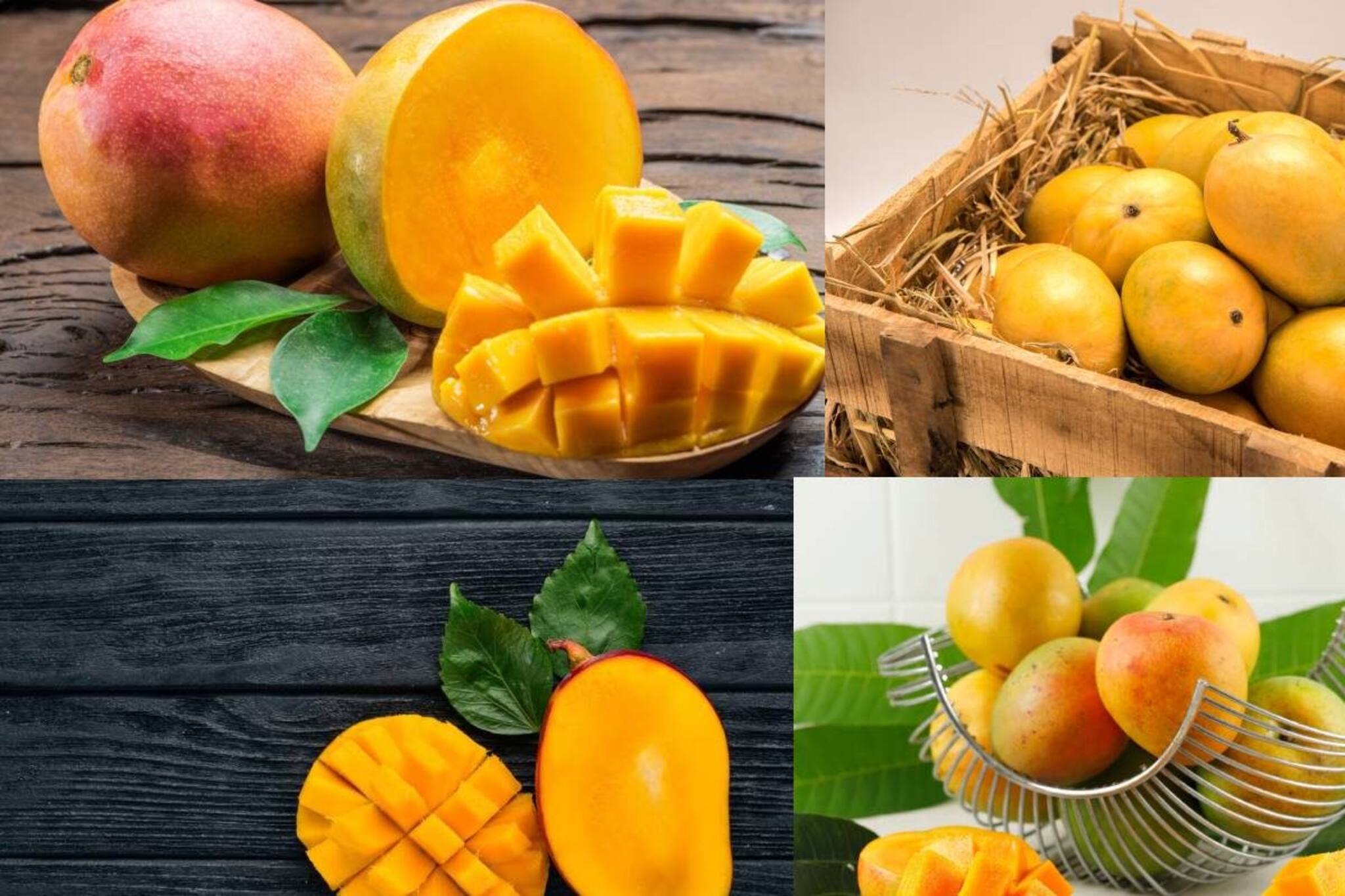 অল্পেই নরম হয়ে যাচ্ছে আম? কেনার পর বাড়িতে রাখুন এভাবে, টাটকা থাকবে অনেক দিন