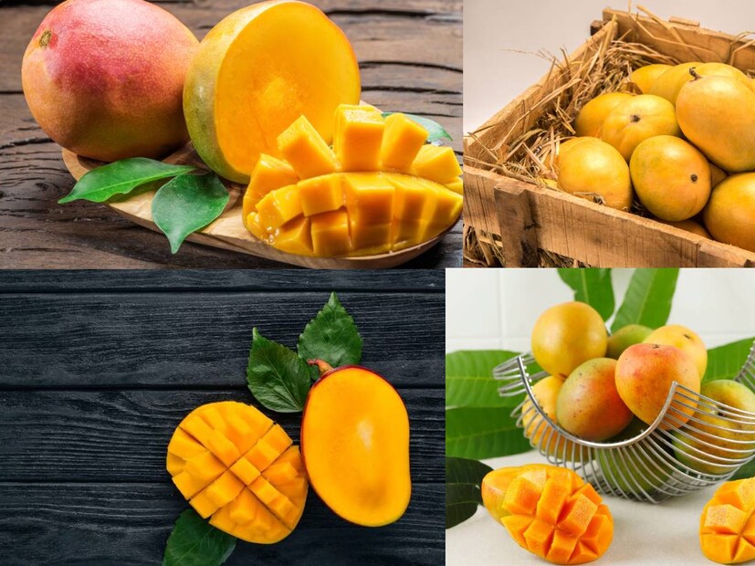 গ্রীষ্ম এবং বর্ষা-এই দুই মরশুম মানেই বাঙালি বাড়িতে আমের ডালা৷ হিমসাগর, ল্যাংড়া থেকে শুরু করে চৌসা-রকমারি আমের স্বাদগন্ধে ভরে থাকে রসনা৷