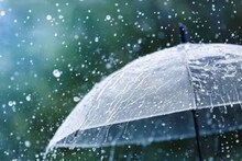 দক্ষিণবঙ্গে শুক্রবার ভারী বৃষ্টি? ভিজবে কলকাতাও? শনি-রবি ঝমঝমিয়ে বৃষ্টির আপডেট