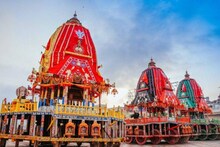 উল্টোরথের দিন তুলসিপাতা দিয়ে করুন এটা! টের পাবেন না অভাব, ভাসবেন অর্থসুখে