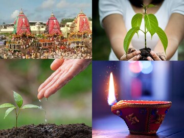 এই ৫ গাছের যে কোনও ১টি বাড়িতে রোপণ করুন রথযাত্রায়! অর্থসুখ,সৌভাগ্যে ভেসে যাবেন
