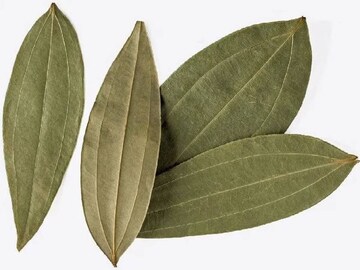 হু হু করে ঝরে যাবে বাড়তি ওজন! মেদ গলে জল..তেজপাতা দিয়ে এই কাজ করলে হাতেনাতেই ফল