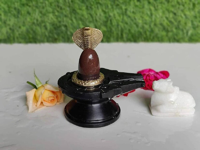 শিবলিঙ্গ ঘরের কোণে রাখা কখনওই উচিত নয়। বাড়ির কোনও কোণে শিবলিঙ্গ রাখলে মহাদেব অসন্তুষ্ট হন বলে মনে করা হয়৷ এতে জীবনে খারাপ প্রভাব পড়তে পারে। সংসারে দুঃসময়ও নেমে আসতে পারে৷